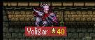 voligar